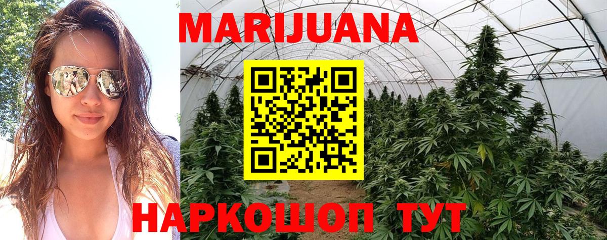 Марихуана семена  Вход с VPN  Людиново  Марихуана Bruce Banner  Шишки марихуана SATIVA & INDICA 